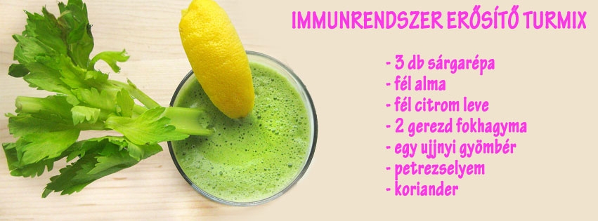 Immunrendszer erősítő turmix