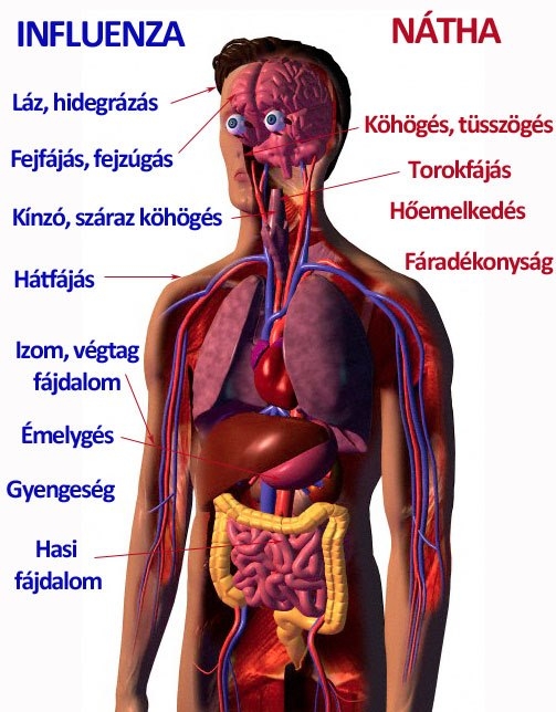 Influenza vs. nátha