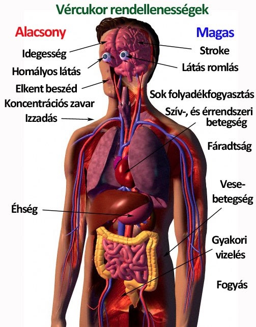 Vércukor rendellenességek