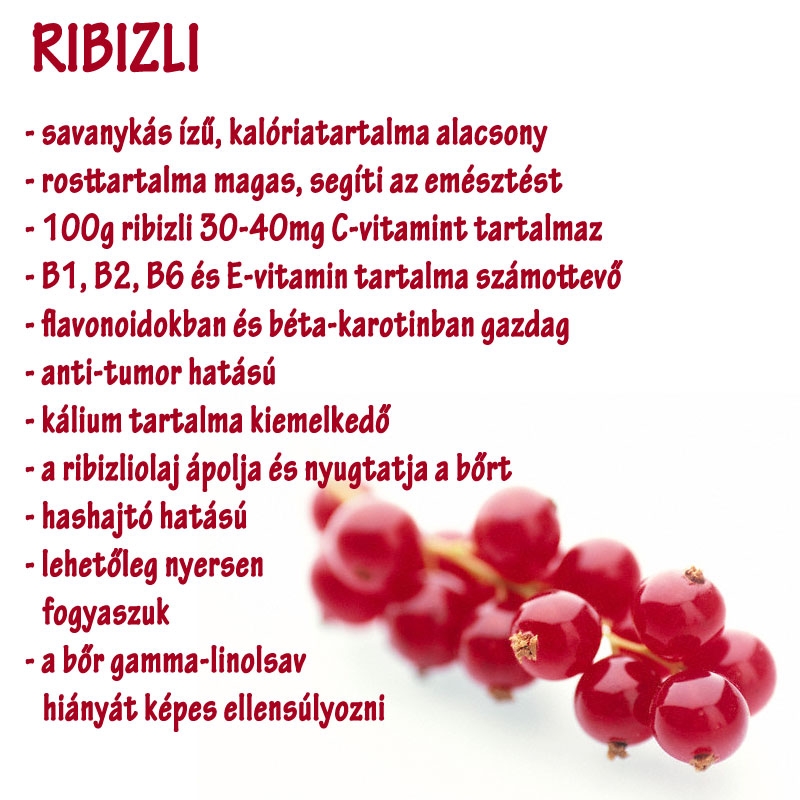 Ribizli