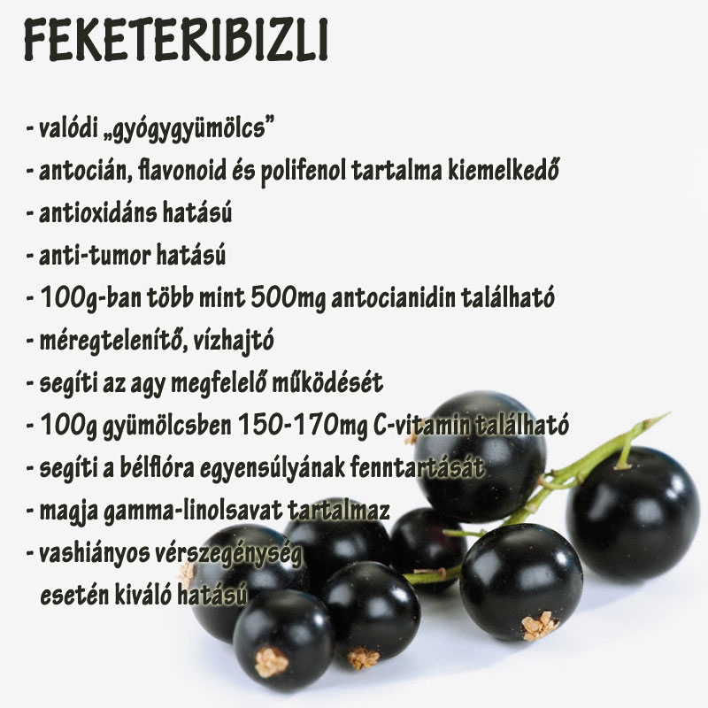 Feketeribizli