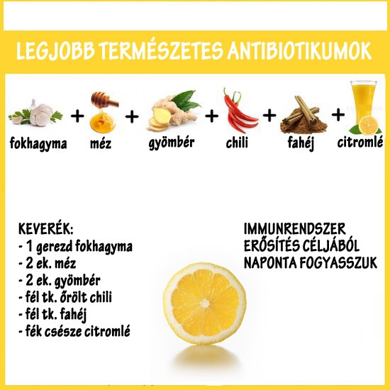 Legjobb természetes antibiotikumok
