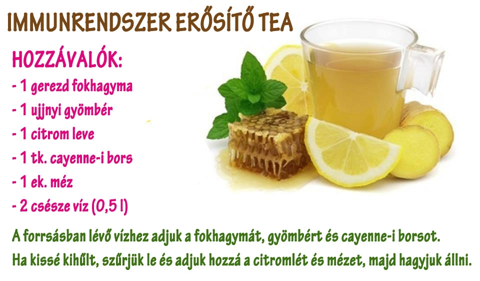 Immunrendszer erősítő tea
