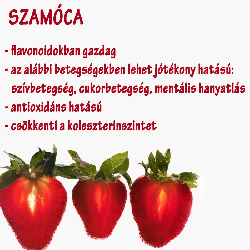 Szamóca