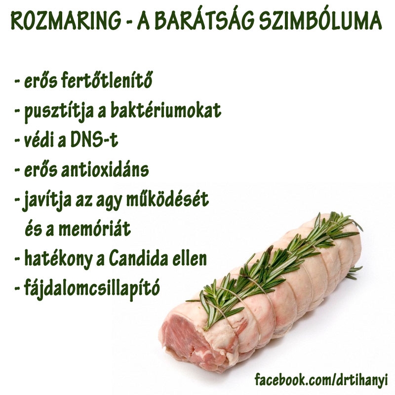 Rozmaring - a barátság szimbóluma