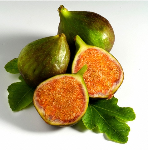 A fügelevél a cukorbetegség természetes ellenszere?