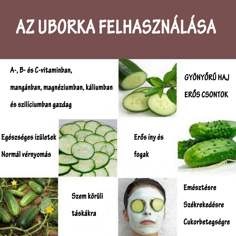 Az uborka felhasználása