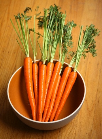 RECEPT: sárgarépa tekercs