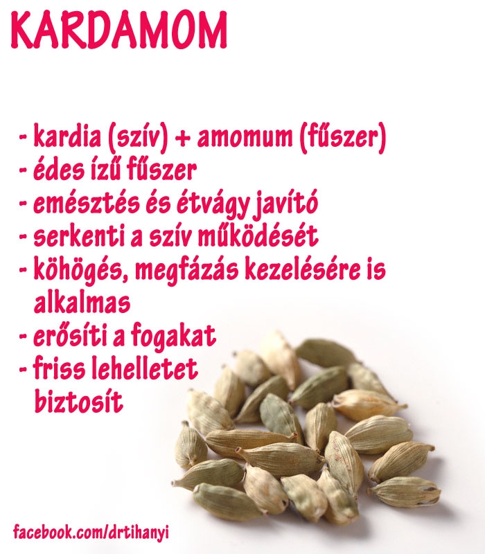 Kardamom