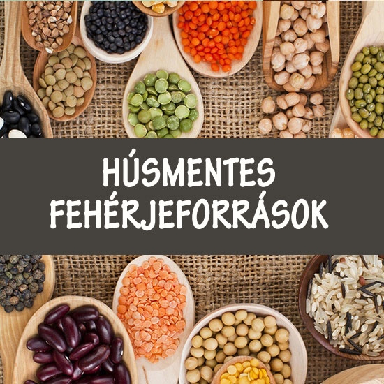 A legjobb vega fehérjeforrások