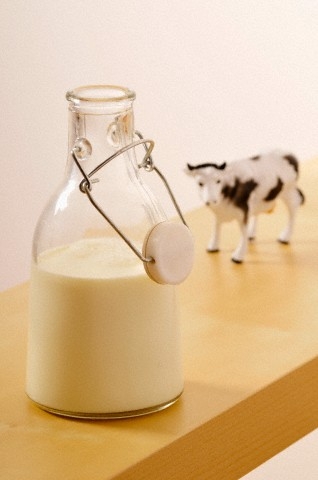 Szakértők a kolosztrumról és immunrendszer támogatásról