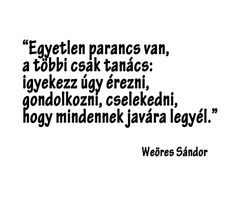 Egyetlen parancs van