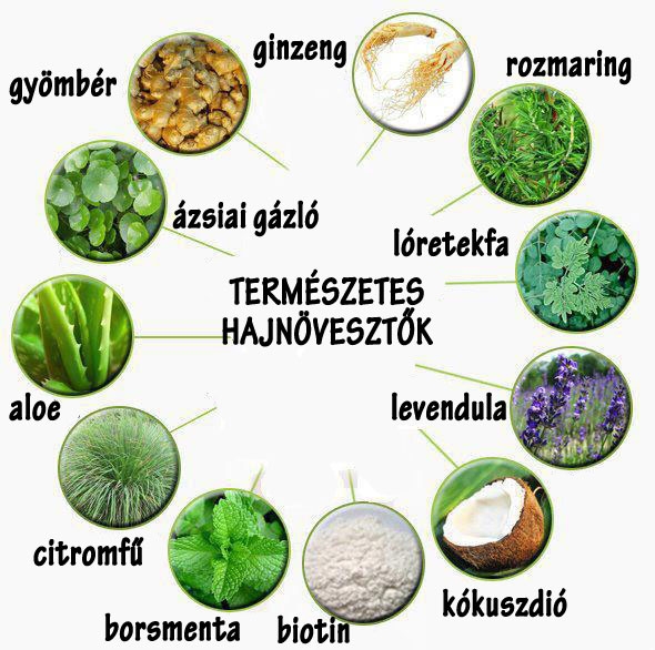 Természetes hajnövesztők