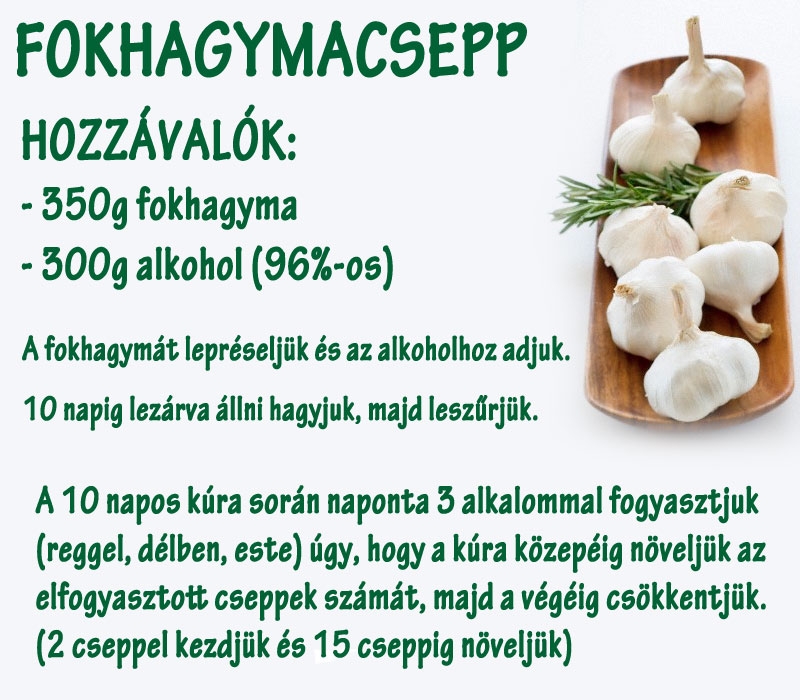 Fokhagymacsepp