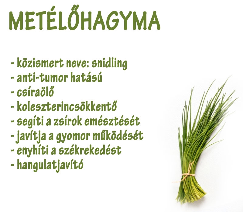 Metélőhagyma?