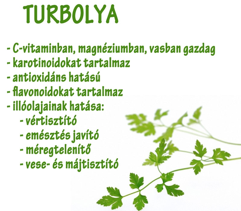 Turbolya