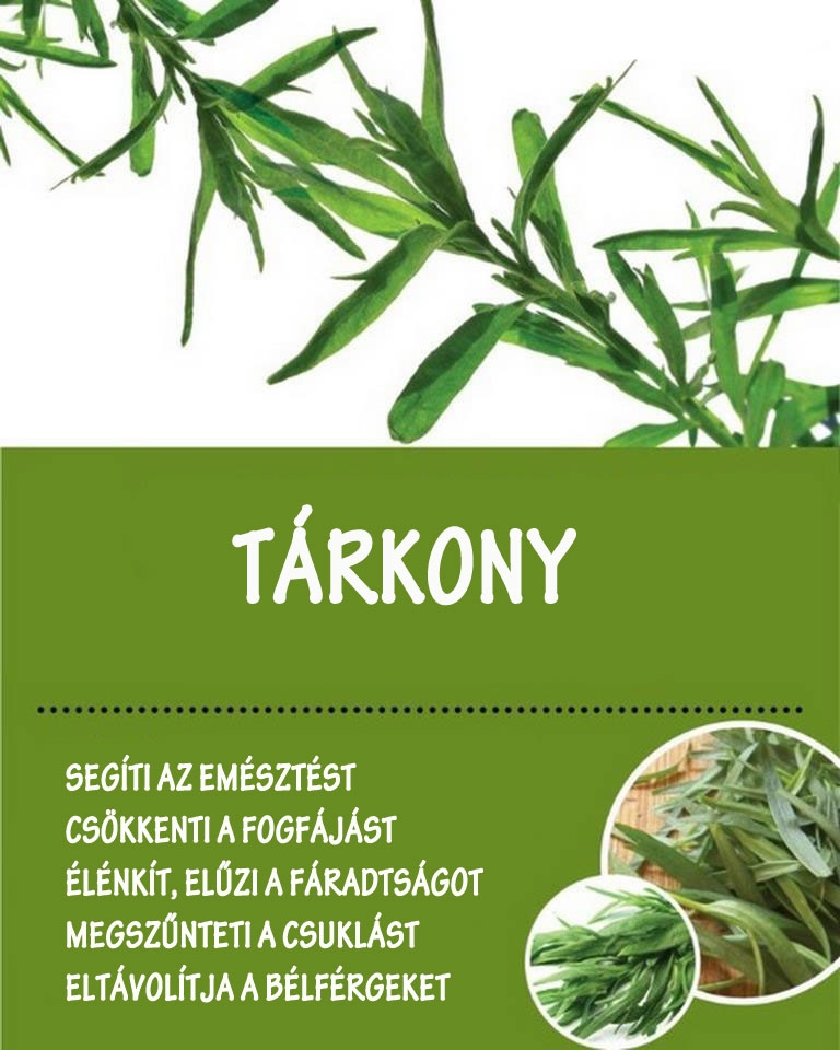 Tárkony