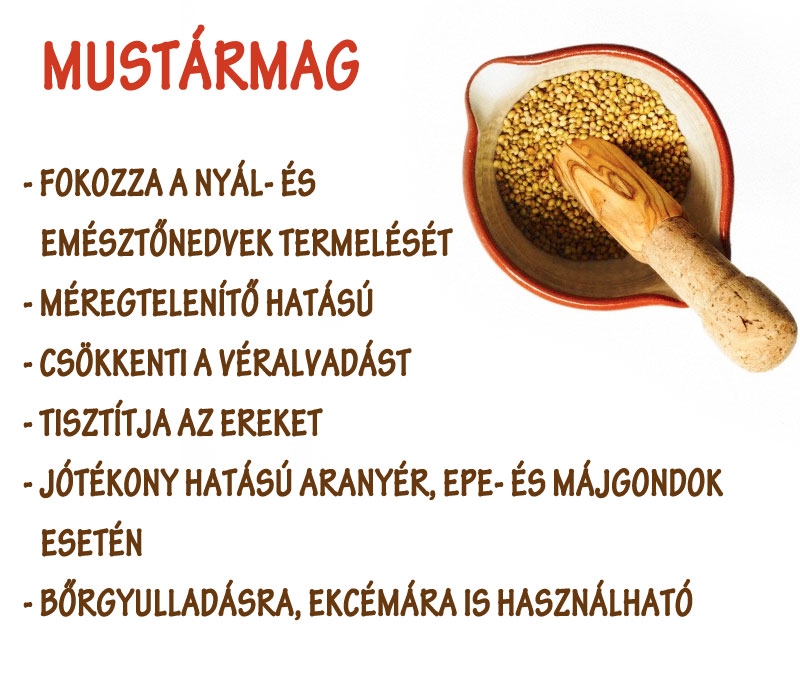 Mustármag