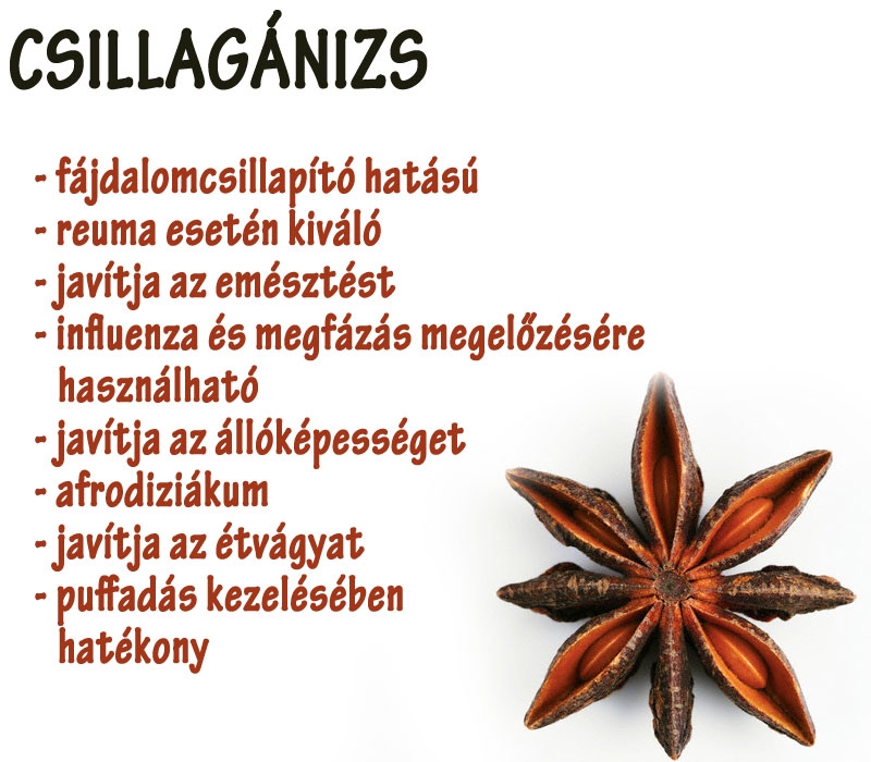 Csillagánizs
