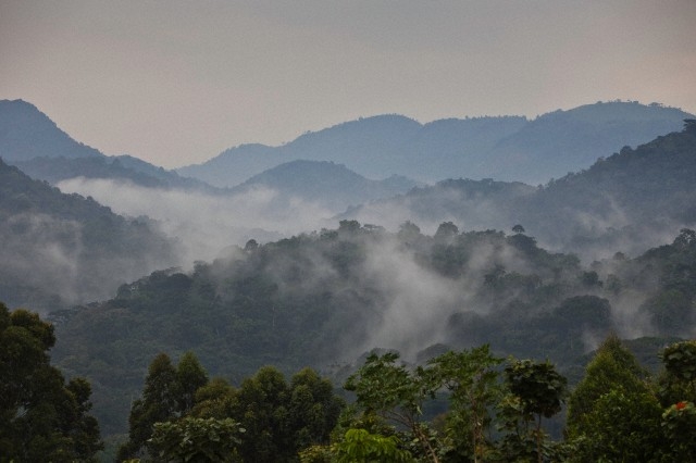 A „Dínó-gyilkos”