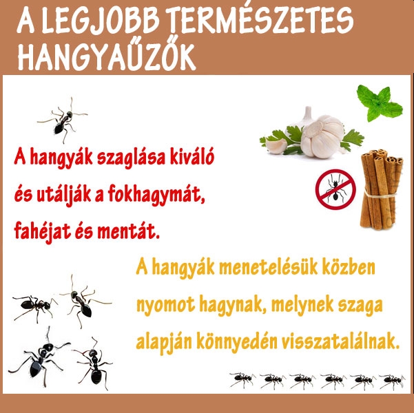 A legjobb természetes hangyaűzők