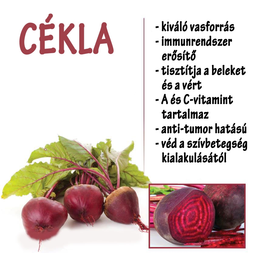 Cékla