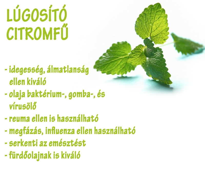 Lúgosító citromfű