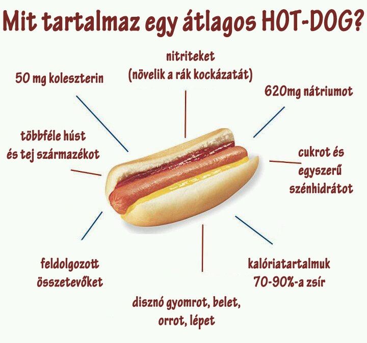 HOT-DOG