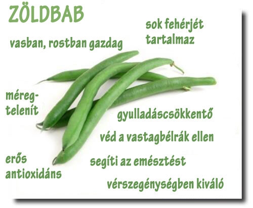 Zöldbab