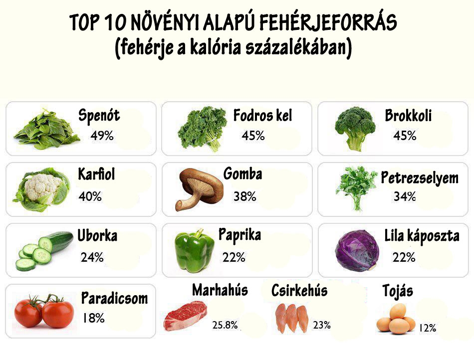 TOP10 növényi alapú fehérjeforrás