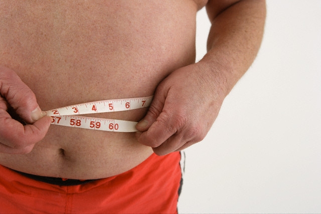 Zsírok, szénhidrátok, fehérjék