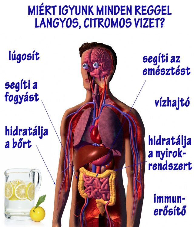 Miért igyunk langyos, citromos vizet reggelente?