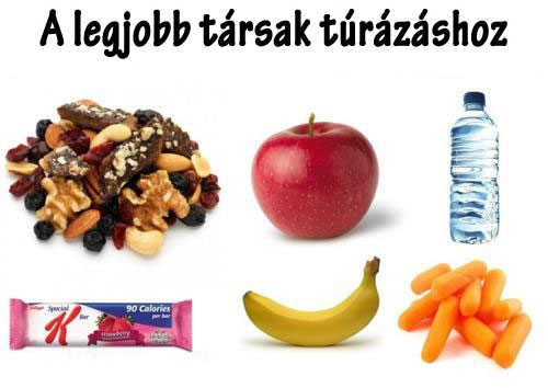 A legjobb társak túrázáshoz