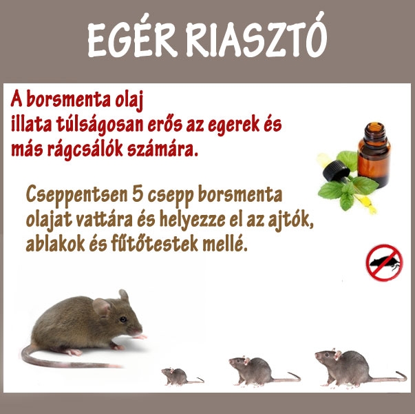 Egérriasztó