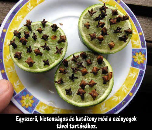 Hatékony mód a szúnyogok távol tartására 