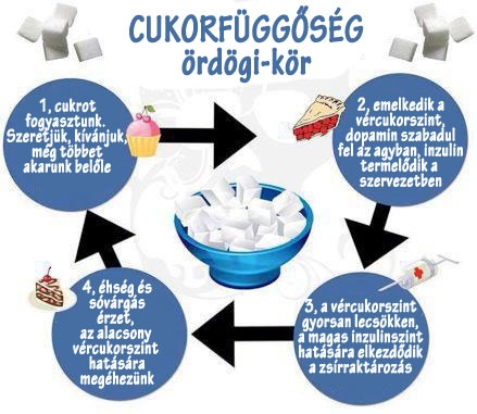 Cukorfüggőség