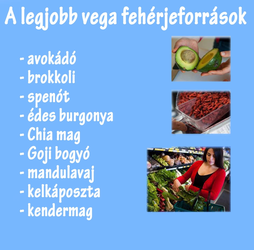Vega fehérjeforrások