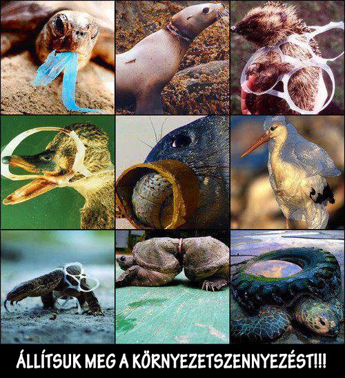 Állítsuk meg a környezetszennyezést!