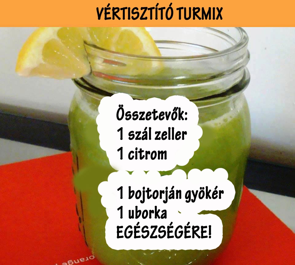 Vértisztító turmix