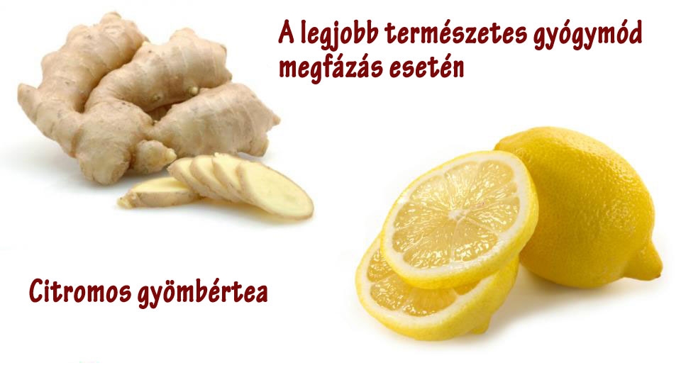 Citromos gyömbértea