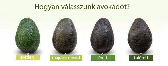 Hogyan válasszunk avokádót?