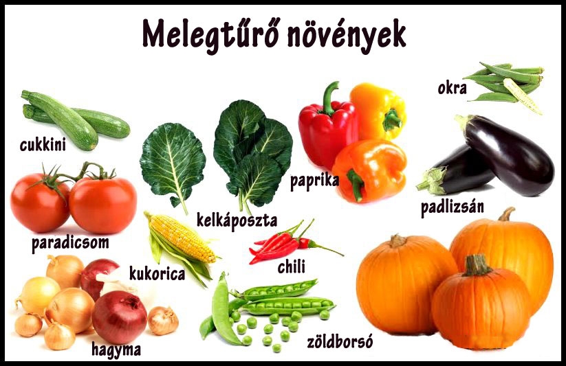 Meleg tűrő növények