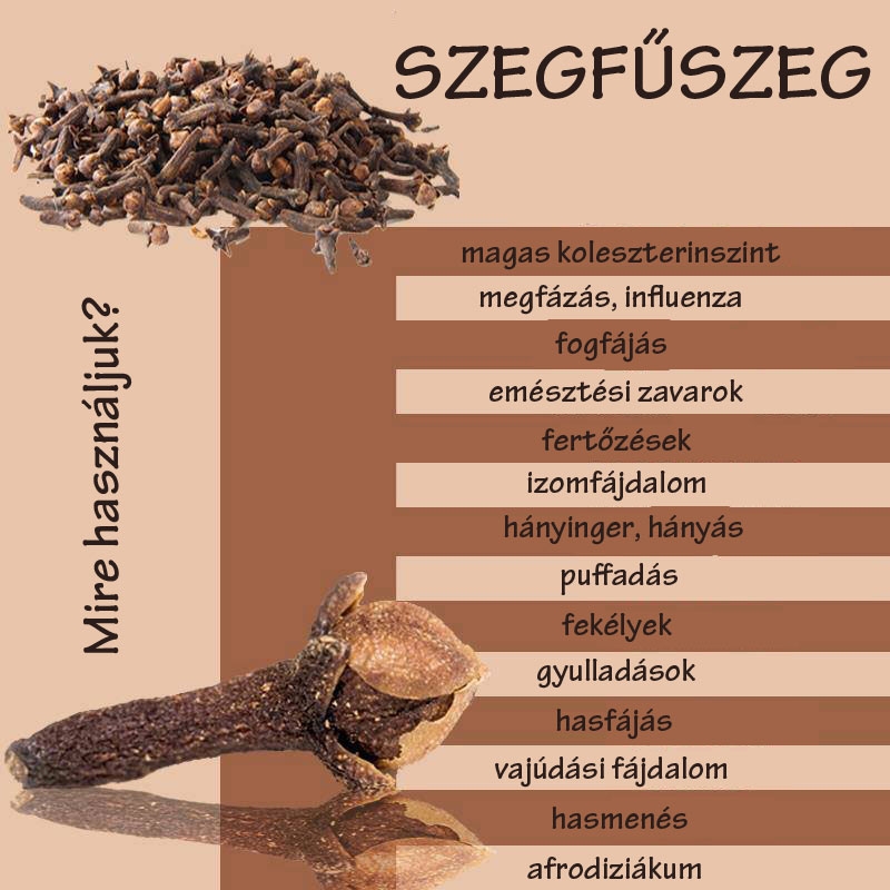 Szegfűszeg