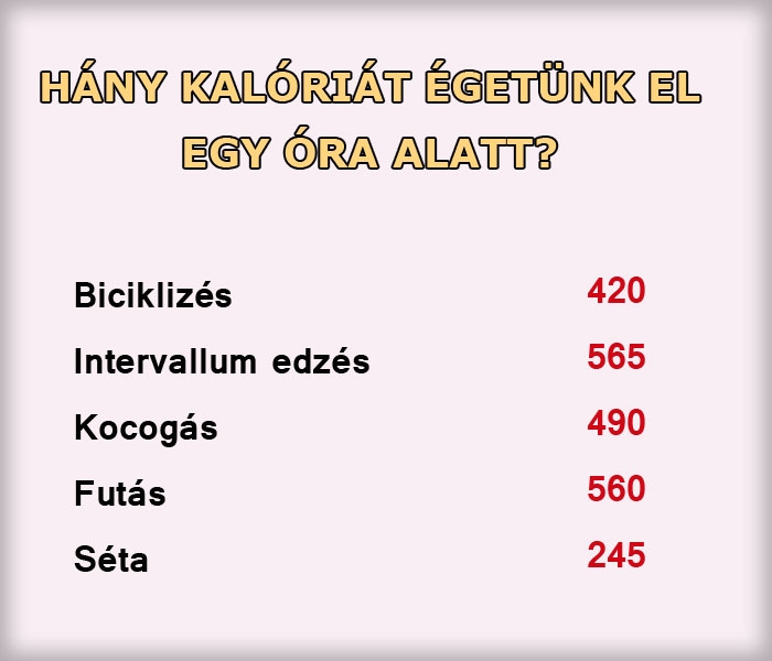 Hány kalóriát égetünk el egy óra alatt?