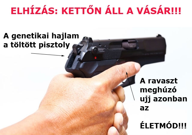 Elhízás: kettőn áll a vásár