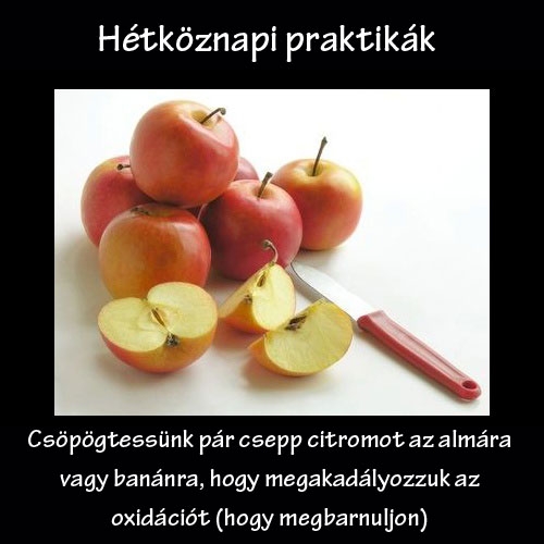 Hétköznapi praktikák