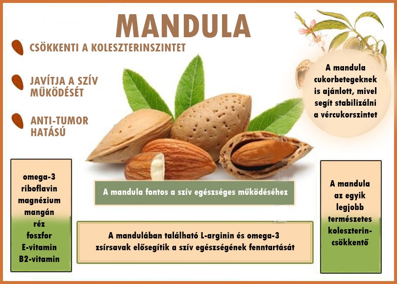 Mandula