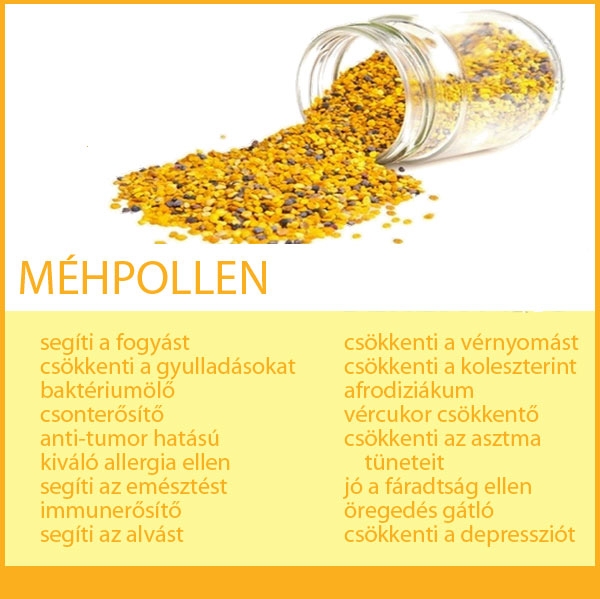 Méhpollen