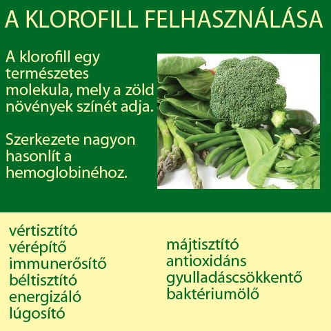 A klorofill felhasználása