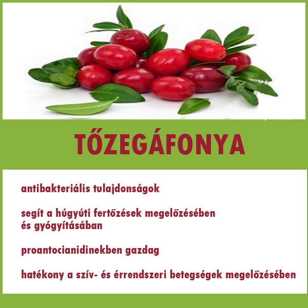 Tőzegáfonya
